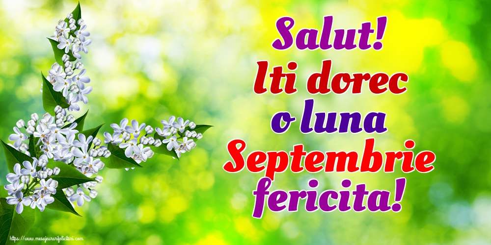 Felicitari de 1 Septembrie - Salut! Iti dorec o luna Septembrie fericita!