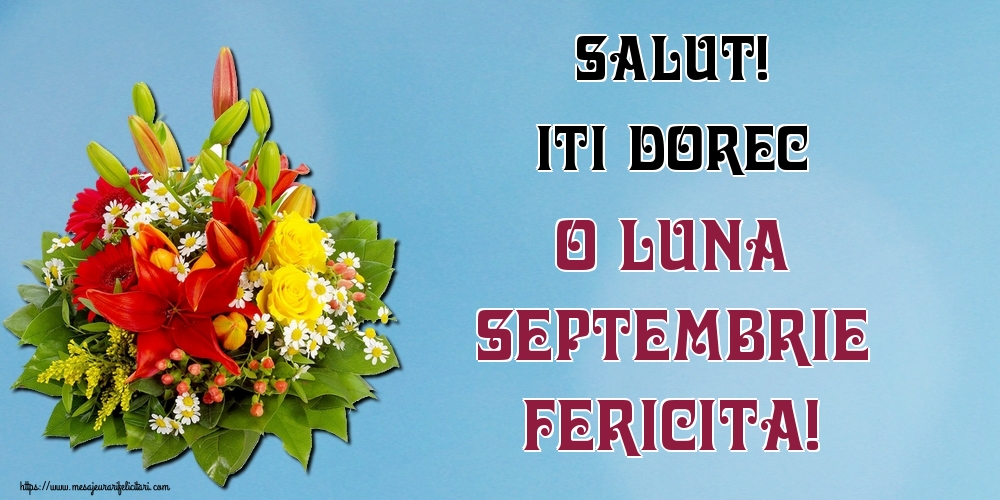 Felicitari de 1 Septembrie - Salut! Iti dorec o luna Septembrie fericita!