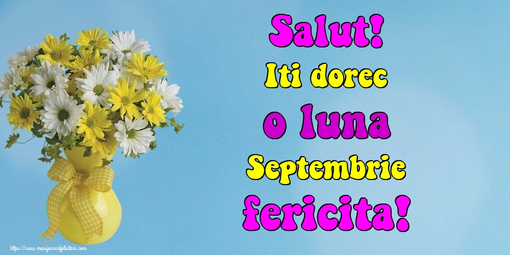 Felicitari de 1 Septembrie - Salut! Iti dorec o luna Septembrie fericita!