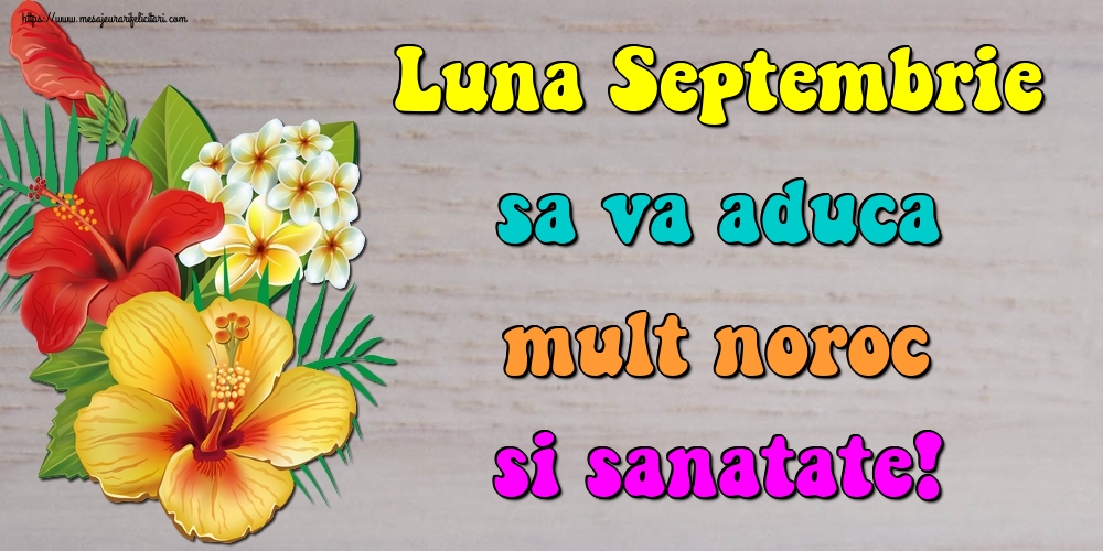 Felicitari de 1 Septembrie - Luna Septembrie sa va aduca mult noroc si sanatate!