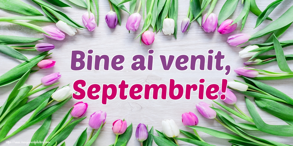 Felicitari de 1 Septembrie - Bine ai venit, Septembrie!