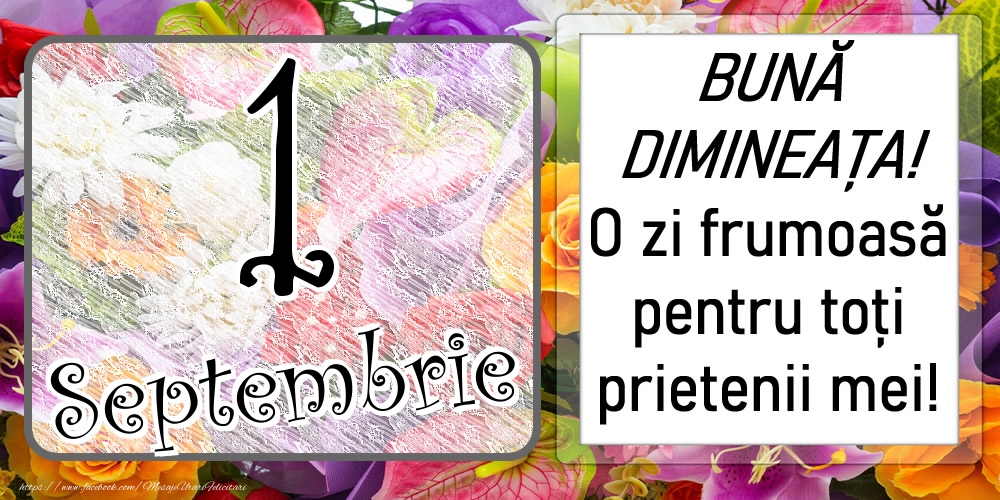 Felicitari de 1 Septembrie - 1 Septembrie - BUNĂ DIMINEAȚA! O zi frumoasă pentru toți prietenii mei!