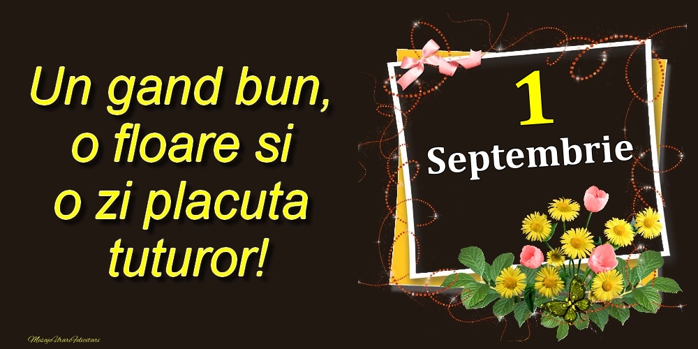 Felicitari de 1 Septembrie - Septembrie 1 Un gand bun, o floare si o zi placuta tuturor!