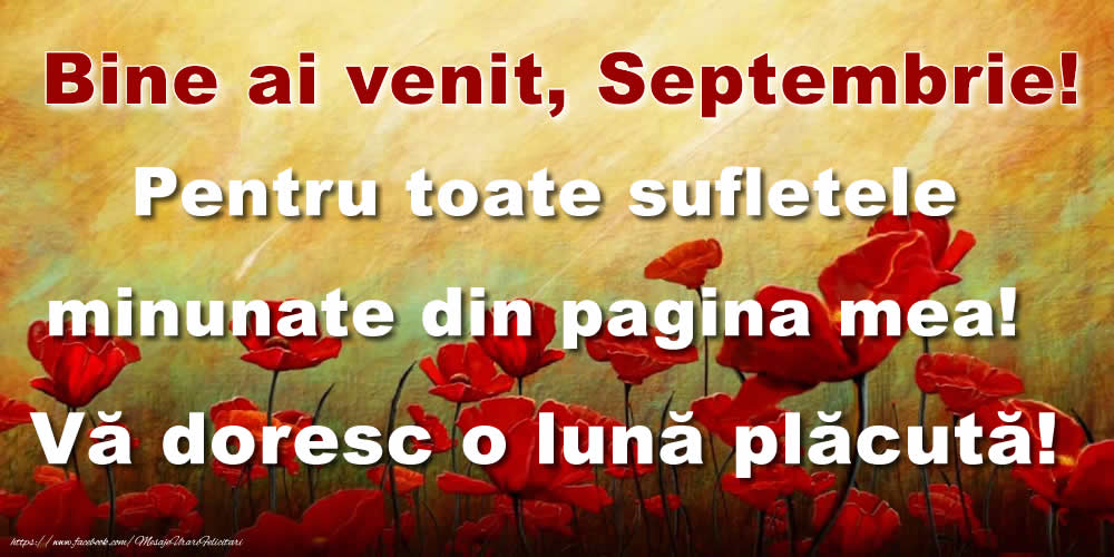 Felicitari de 1 Septembrie - Bine ai venit, Septembrie! Pentru toate sufletele minunate din pagina mea! Vă doresc o lună plăcută!