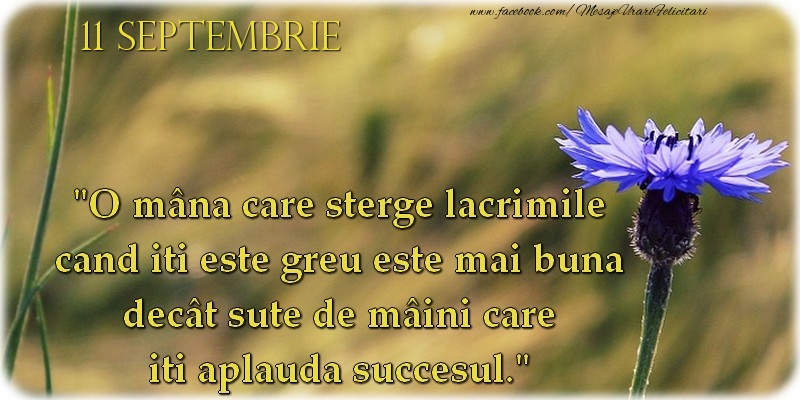 O mână care şterge lacrimile cand iti este greu este mai bună decât sute de mâini care iti aplaudă succesul. 11Septembrie