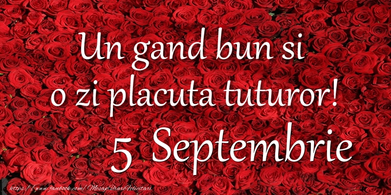 Un gand bun si  o zi placuta tuturor! Septembrie 5