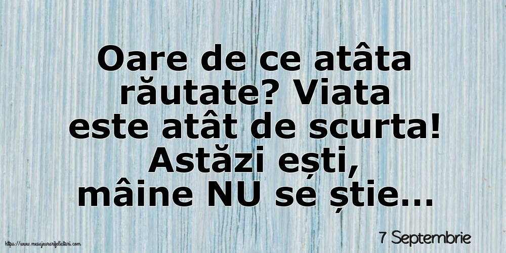 7 Septembrie - Oare de ce atâta răutate?