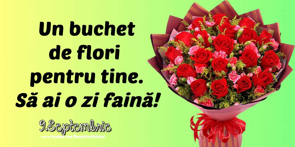 Felicitari de 9 Septembrie - 9.Septembrie - Să ai o zi faină!